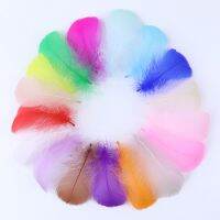 【YD】 100PCS/BAG Colourful Feather for Crafts 4-8cm 8-12cm Floating Plumes Jewelry Making Catcher Material