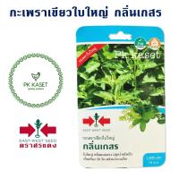 เมล็ดพันธุ์กะเพราเขียวใบใหญ่ กลิ่นเกสร (Basil Holy) ตราศรแดง ซองแข็ง 1500 เมล็ด ผักสวนครัว