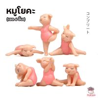 HOT** หมูโยคะ เซต 6 ชิ้น ตุ๊กตาจิ๋ว โมเดลจิ๋ว แต่งสวน ส่งด่วน อุปกรณ์ ตกแต่ง สวน อุปกรณ์ ตกแต่ง สวน ถาด อุปกรณ์ ตกแต่ง ต้นไม้ อุปกรณ์ ตกแต่ง สวน หย่อม