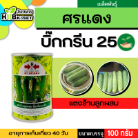 ศรแดง ?? แตงร้านลูกผสม บิ๊กกรีน 25 F1 ขนาดบรรจุ 100 กรัม อายุเก็บเกี่ยว 40 วัน