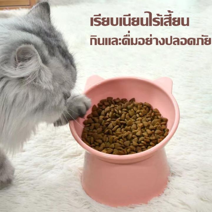 bhq-pet-cod-ชามอาหารสัตว์-ทรงเอียง-ชามอาหารแมว-ชามอาหารสุนัข-ชามสัตว์เลี้ยง-อุปกรณ์ให้อาหารสัตว์-ขนาด