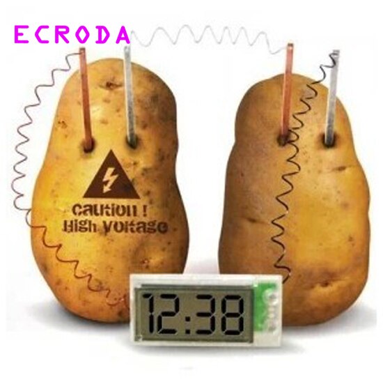 Potato Clock Science Project Experiment Kit Home School Educational DIY Toy 