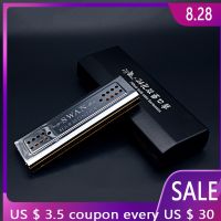 Blues 24-Hole Tremolo Harmonica Double-side C e G Key adequado para entusiastas música instrumento de sopro prata