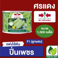 เมล็ดพันธุ์ ศรแดง แฟง ปิ่นเพชร 1,000 เมล็ด กระป๋อง ขนาด 1 กิโลกรัม