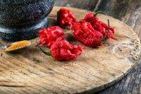 20 เมล็ด เมล็ดพริก สายพันธุ์ CAROLINA REAPER พริกเผ็ดที่สุดในโลก ของแท้ 100% อัตรางอกสูง 70-80 % Strawberry seeds มีคู่มือปลูก