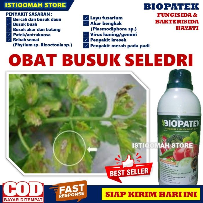 Obat Semprot Akar Dan Batang Daun Seledri Busuk Biopatek 500ml