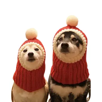 Big clearance dog hats