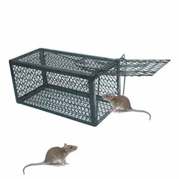1PCS Full Transparent Bait Station Humane Mouse Trap Catch