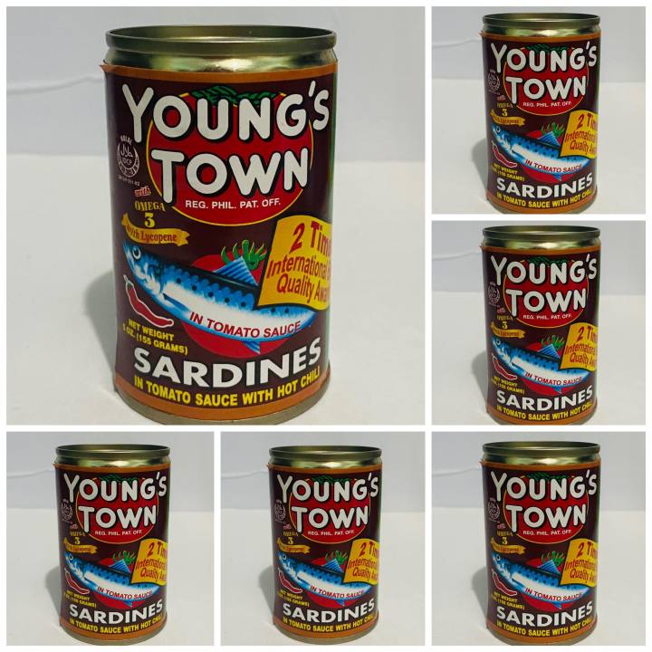 6pcs Youngstown sardines in tomato sauce with hot chili 155g Lazada PH