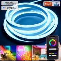 2 220โวลต์นำ5050 RGB Dimmerabile แถบไฟ LED แสง IP67สมาร์ท Flessibile เทป LED ระยะไกล/บลูทูธ /Tuya Wifi Funziona Con Alexa