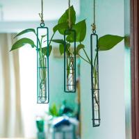 Hanging Glass Planter Iron Art Hydroponic Vase Transparent Test Tube Flower Bottle Pot Container Home Garden Decoration