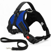 No Pull Dog Harness Breathable Adjustable Comfort Free Leash Included for Small Medium Large Dog Best for Training Walking