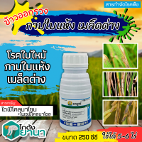 ? อามูเร่ (ไดฟีโนโคลนาโซล+โพรพิโคนาโซล) ขนาด 250ซีซี ป้องกันโรคเมล็ดด่างในนาข้าว