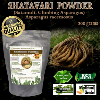 SHATAVARI POWDER Satavari, Satavare, Satavirya, Shatapadi, Satamuli, Climbing Asparagus Asparagus racemosus  PURE PREMIUM QUALITY 200 grams