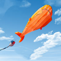 【cw】2.1 Meter 3D Giant Dolphin Whale Shape Flying Kite Parafoil Sports Software Paragliding Beach Kite Outdoor Toys For Kids ！