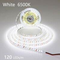 12V 2835 5M 300 600 1200LEDs LED Strip DC12V 60/120/240 LEDs/m Home Decoration Lamp Waterproof IP65 Lamp Strip Natural White LED Strip Lighting