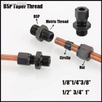 ✈❀○ Hydraulic Tubing Reaming Direct Carbon Steel Joint Pipe Fitting Male Thread BSP 1/8 1/4 3/8 1/2 3/4 1 Connection Fitting