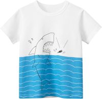 Toddler Boys Short Sleeve Tees Cotton Casual Fun Pattern Crewneck Summer Top Clothes Big Boys Long Sleeve Shirts