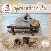 [Animal KOKO]  ?พร้อมส่ง ?? ชุดทานอาหาร ชมวิวของหนูแฮมสเตอร์ น่ารัก บันไดวน จากไม้แอปเปิ้ล สุดเท่ห์ ?