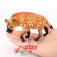 Monkey Toys - โมเดลสัตว์ Hyena หมาป่า ไฮยีนา ส้ม ขนาด 11.00 CM (จากหาดใหญ่)