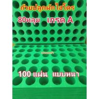 ถาดเพาะเมล็ด ถ้วยปลูกผักไฮโดรโปนิกส์ สีเขียว 80 หลุม เกรด A 100แผง(ยกลัง)