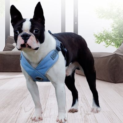 （PAPI PET）อุปกรณ์เดินกลางแจ้งเสื้อกั๊กสุนัขสายจูงสัตว์ปรับได้อุปกรณ์สายจูงสุนัขระบายอากาศสะท้อนแสง