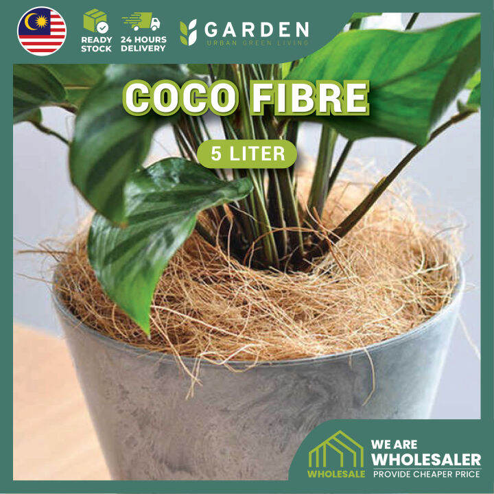 Coco Fiber (5L/200g) Coco Coir Filler Surface Pot Mulching Moisture