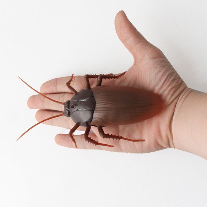 rc-รีโมทคอนโทรลอินฟาเรดมดแมงมุมแมลงสาบของเล่นสัตว์หลอกลวง-kids-toys-ก่อกวนของขวัญแปลกๆ