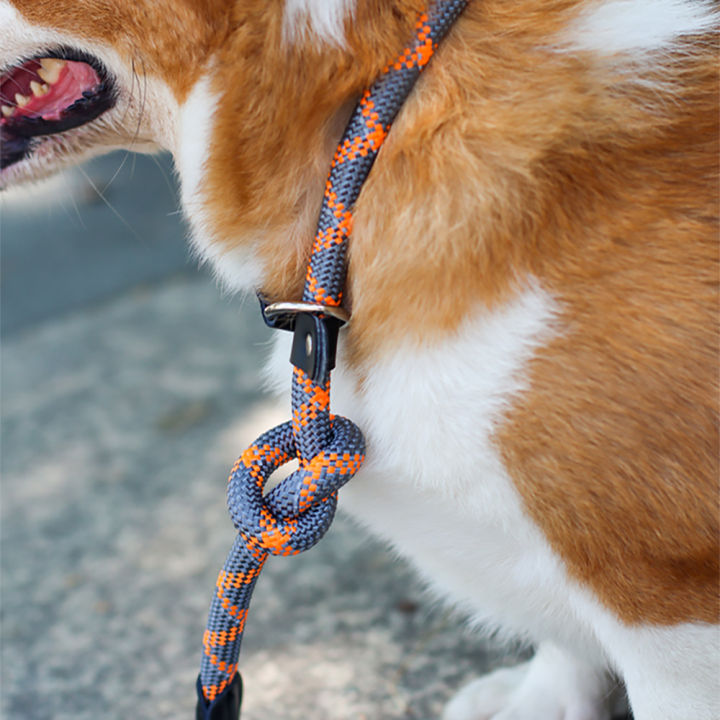 dog-collar-training-anti-choking-choker-walks-for-small-medium-large-dog-accessories-supplies-things-french-bulldog-pitbull