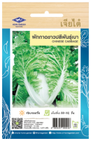 เมล็ดพันธุ์ ผักกาดขาวปลีพันธุ์เบา น้ำหนัก10กรัม ประมาณ 4270 เมล็ด