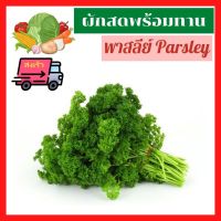 ?ส่งเร็ว ผักสด ผลไม้สด (300g+-/600g+-) พาร์สลีย์ เกดรพรีเมี่ยม Parsley Premium พาร์สลี่ย์ สด ใหม่ สะอาด ปลอดถัยค่ะ