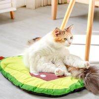 Cooling Pad Clearing Away Heat And Dryness Fruit Shape Cat Nest Cool To Sleep Textile Fabric Pet Mat Kennel Cool Down Soft