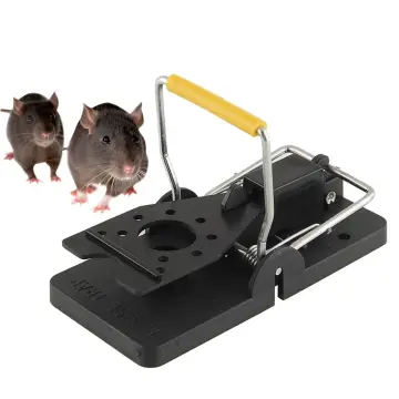 Effective Easy Set Plastic Small Mouse Trap - China Snap Mousetrap and  Rodent Trap price