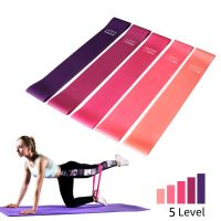 5 Different Levels Resistance Bands Yoga Sport Exercise Elastic Fitness Bands Workout Pilates Home Rubber Bands Gym Accessories Exercise Bands