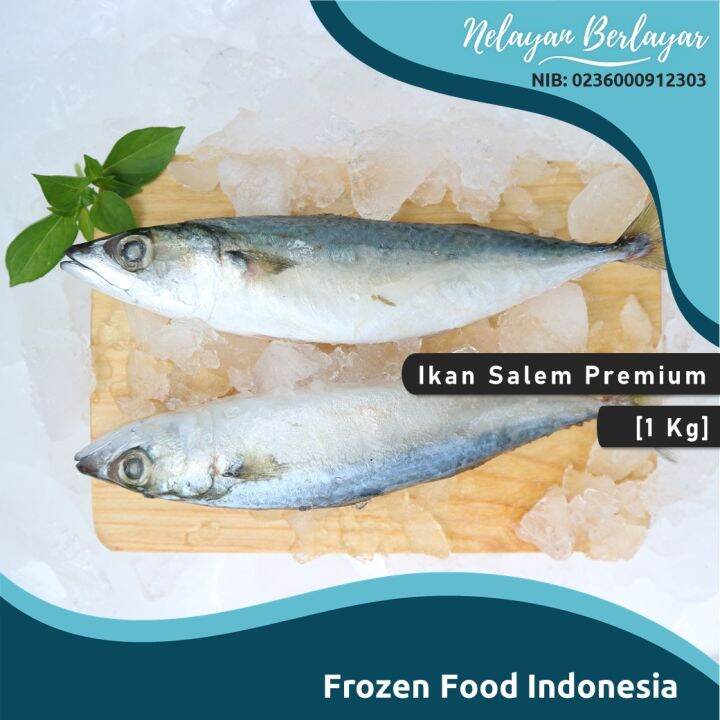 Ikan Salem Premium [1 Kg] Nelayan Berlayar Lazada Indonesia