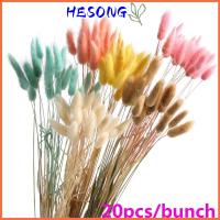 HESONG 20pcs ตกแต่งงานแต่งงาน ลำต้นของพืช อุปกรณ์ประกอบฉากการยิง สไตล์อภิบาล Uraria Picta ประดิษฐ์ หางกระต่าย Lagurus Ovatus หญ้าหางกระต่าย ช่อดอกไม้ประดิษฐ์