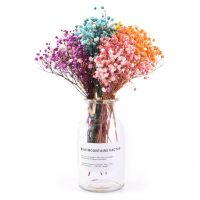 【cw】13 Mini Decorative Dried Flowers Babysbreath Flowers Bouquet Natural Plants preserve Floral for Wedding Home Decoration 【hot】