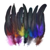 50Pcs Colorful Rooster Feathers for Crafts Needlework Fly Tying Materials Pheasant Feather Catcher Plumes