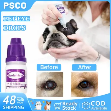 Serum eye 2024 drops for dogs