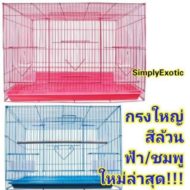 ส่งฟรี-ถูกใหญ่สะใจ-กรงนก-รุ่นจัมโบ้-กรงชูการ์-กรงกระรอก-อุปกรณ์ครบ