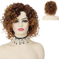 GNIMEGIL Synthetic Short Wigs for Women Ombre Brown Afro Kinky Curly Wig Female Cosplay Halloween Daily Use Party Costume Gifts Wig  Hair Extensions P