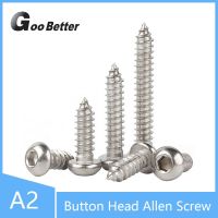 M2 M2.5 M3 M3.5 M4 M5 M6 Button Head Allen Hex Self Tapping Screw A2 Stainless Steel Nails Screws  Fasteners