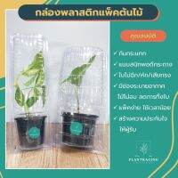 [แถมฟรี!! กระถางพลาสติก] กล่องพลาสติกแพ็คต้นไม้ สำหรับขนส่ง Plantkaging แพ็คง่าย ใช้เวลาน้อย