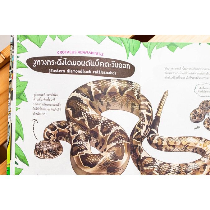 r-หนังสือ-dragon-village-snake-2-ศึกเทพอสรพิษ-เล่ม-2