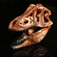 JAPAN โมเดล หัวกะโหลก ไดโนเสาร์ Dinosaur ไทแรนโนซอรัส Tyrannosaurus Rex สุดโหด วัสดุ เรซิ่น Resin กะโหลกผี Skull ตกแต่งบ้าน ปาร์ตี้ฮาโลวีน Halloween โครงกระดูก หัวกะโหลกจำลอง ของขวัญ Gift  Limited edition ของสะสมคอลเลคชั่นพิเศษ Collection