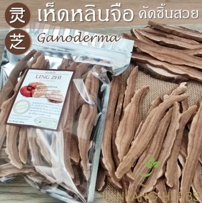 เห็ดหลินจืออบแห้ง A คัดชิ้นใหญ่สวย 50 100 250 กรัม Lingzhi Mushroom เห็ดหลินจือแดง Ganoderma หลินจือ 灵芝 หลิงจือ เหล๊งจือ