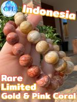 Gold &amp; Pink Coral Fossil กำไลฟอสซิลปะการังแท้ ขนาดเม็ด(11-12 มม.) เสริมมุมมองในแง่ดี สร้อยข้อมือ นำโชค ปะการังธรรมชาติ นำเข้าจากindonesia เครื่องราง