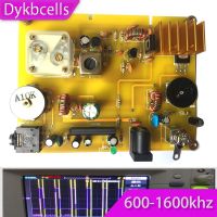 Dykbcells Micropower medium wave transmitter , AM transmitter ore radio Frequency 600-1600khz