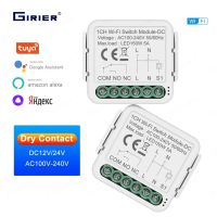 【YD】 GIRIER WiFi Module Dry Contact 5A Relay 12/24V 100-240V Works with Hey