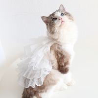 Hanpanda 2023 Spring&amp;Summer Cat Lace Gypsophila Wedding Dress Sweet Pet Dress Cat Skirt Party Birthday Clothes for Female Cats Dresses